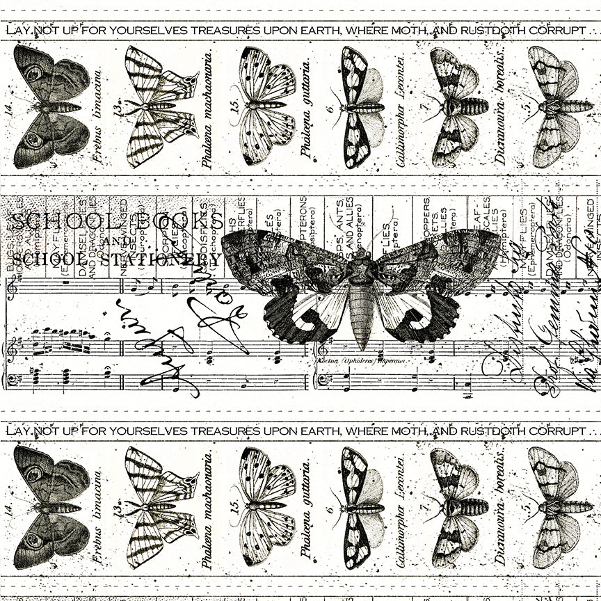 Riley Blake - J. Wecker Frisch - Art Journal - Collage - Border