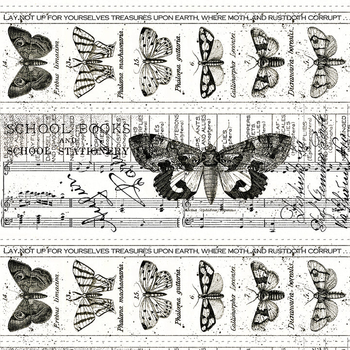 Riley Blake - J. Wecker Frisch - Art Journal - Collage - Border