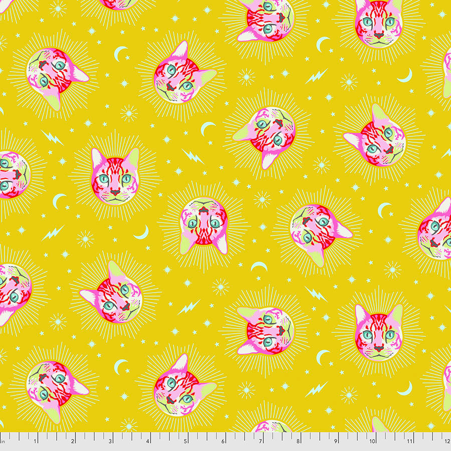 Free Spirit Fabrics - Tula Pink - Curiouser & Curiouser - Cheshire - Wonder